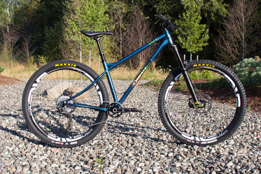 chromoly 29er frame