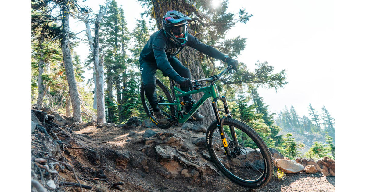 Canfield Lithium Review - The Loam Wolf