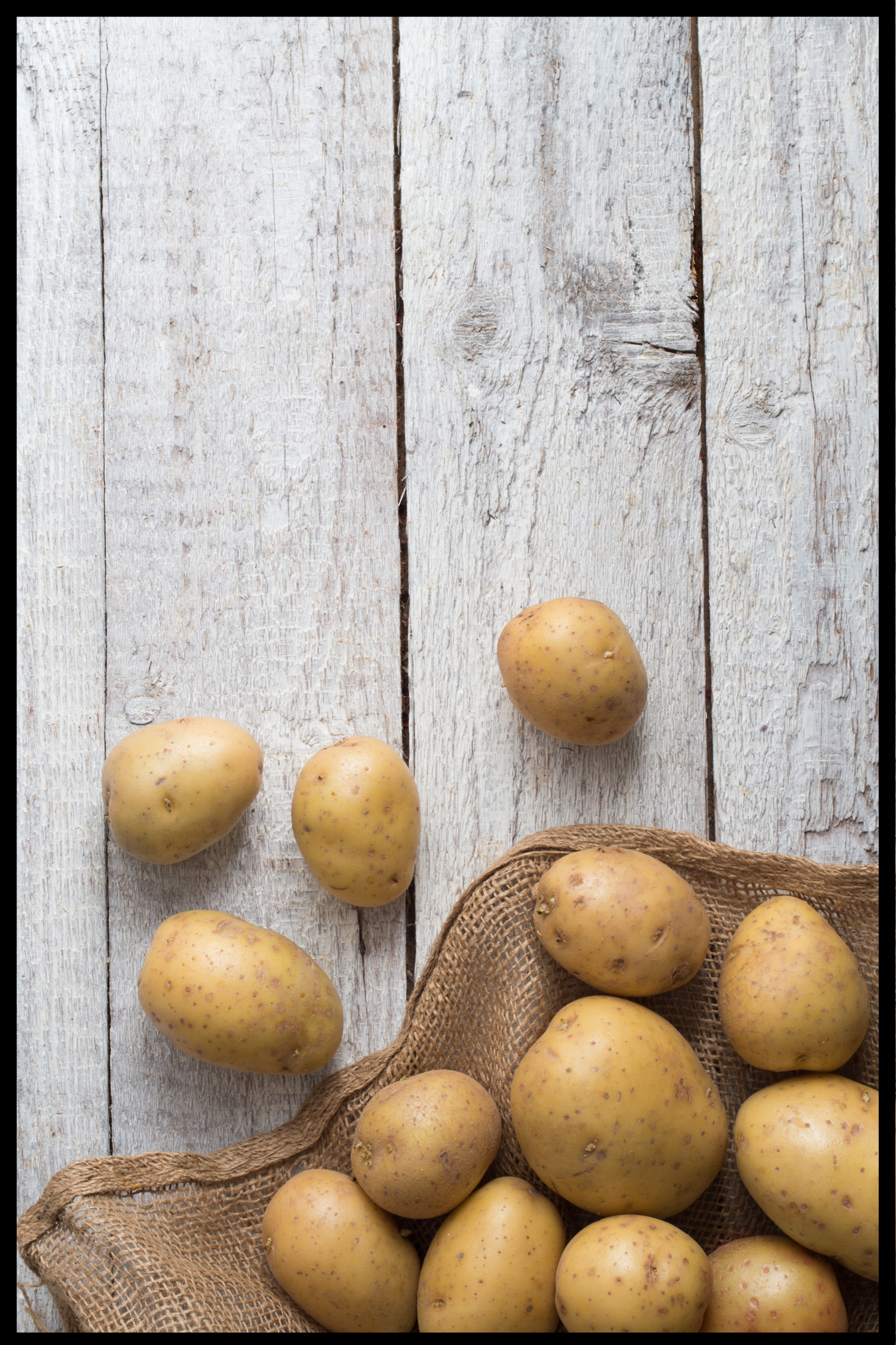 Billede af Kartoffel plakat - 21x30 cm