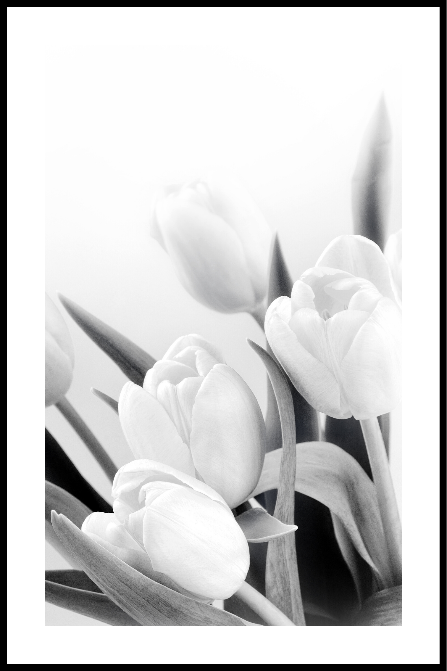 Se Blomster hvid og sort plakat - 21x30 cm hos SimplyPoster.dk