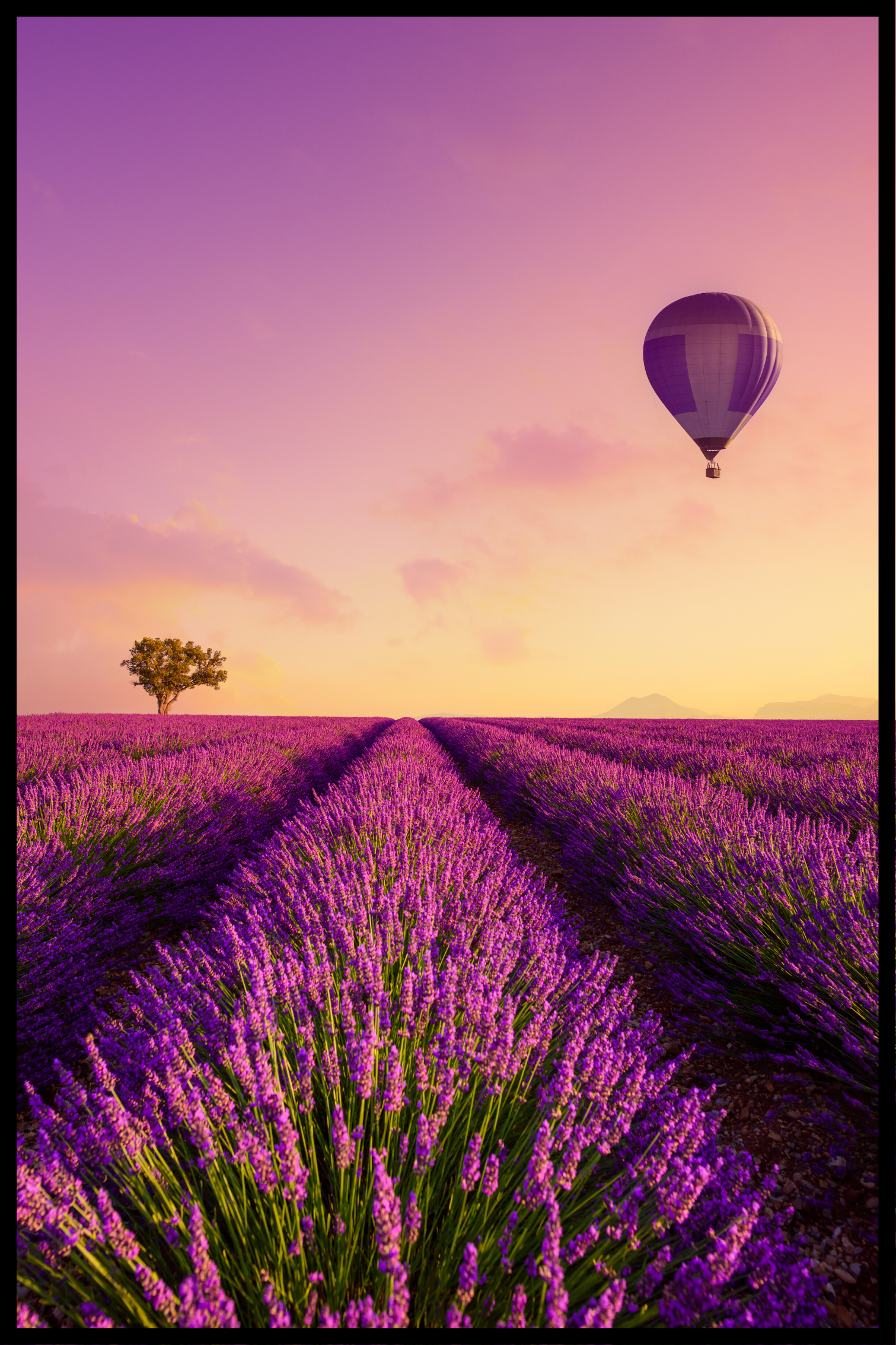 Billede af luftballon plakat - 21x30 cm
