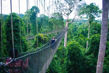 Kakum national park canopy walk