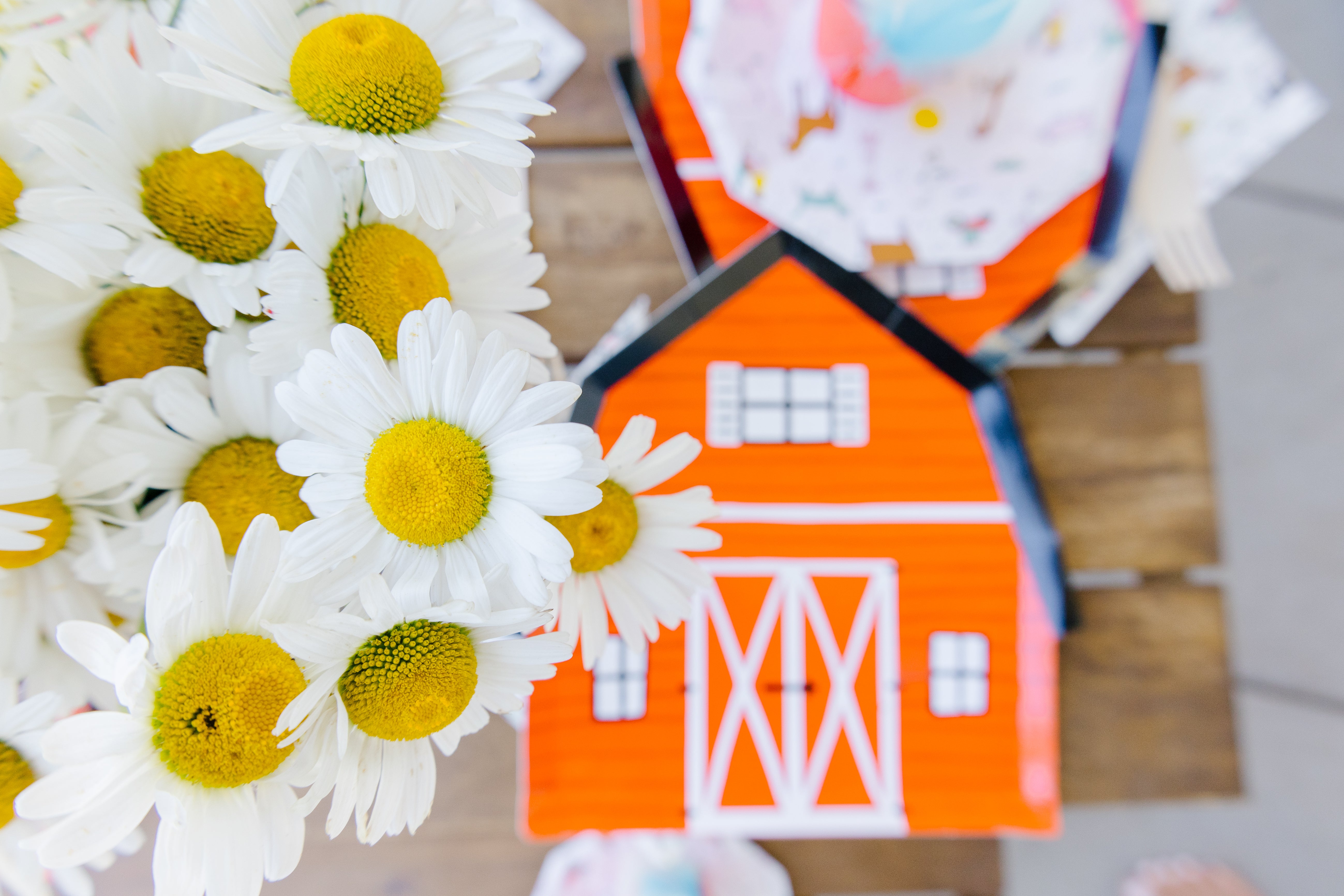 daisies and a barn shaped paper plate