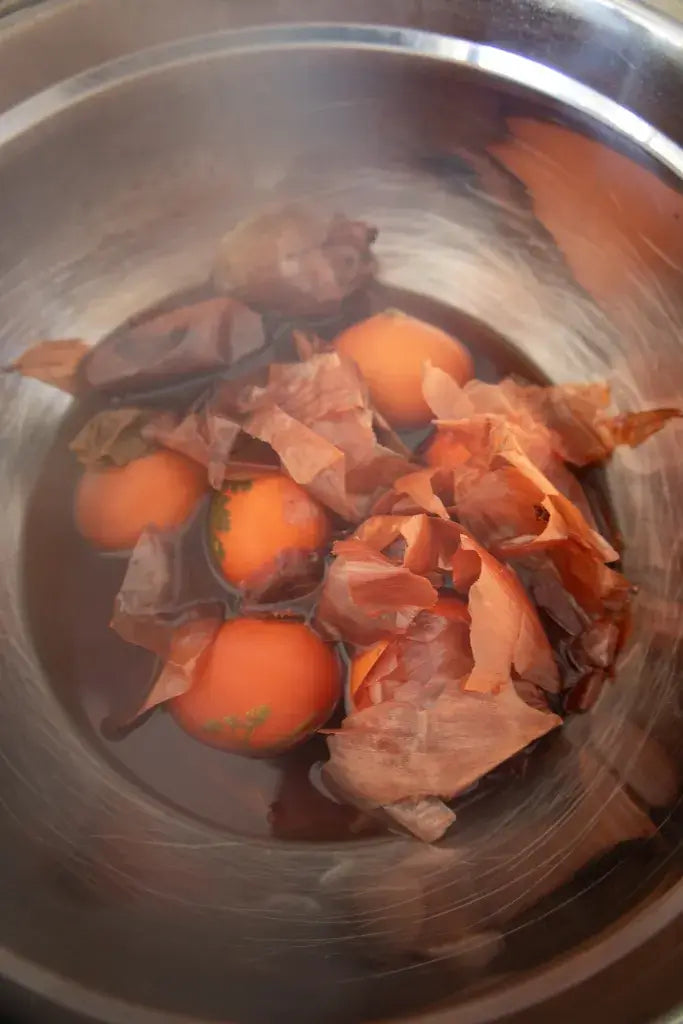 Eggs sitting in onion peels