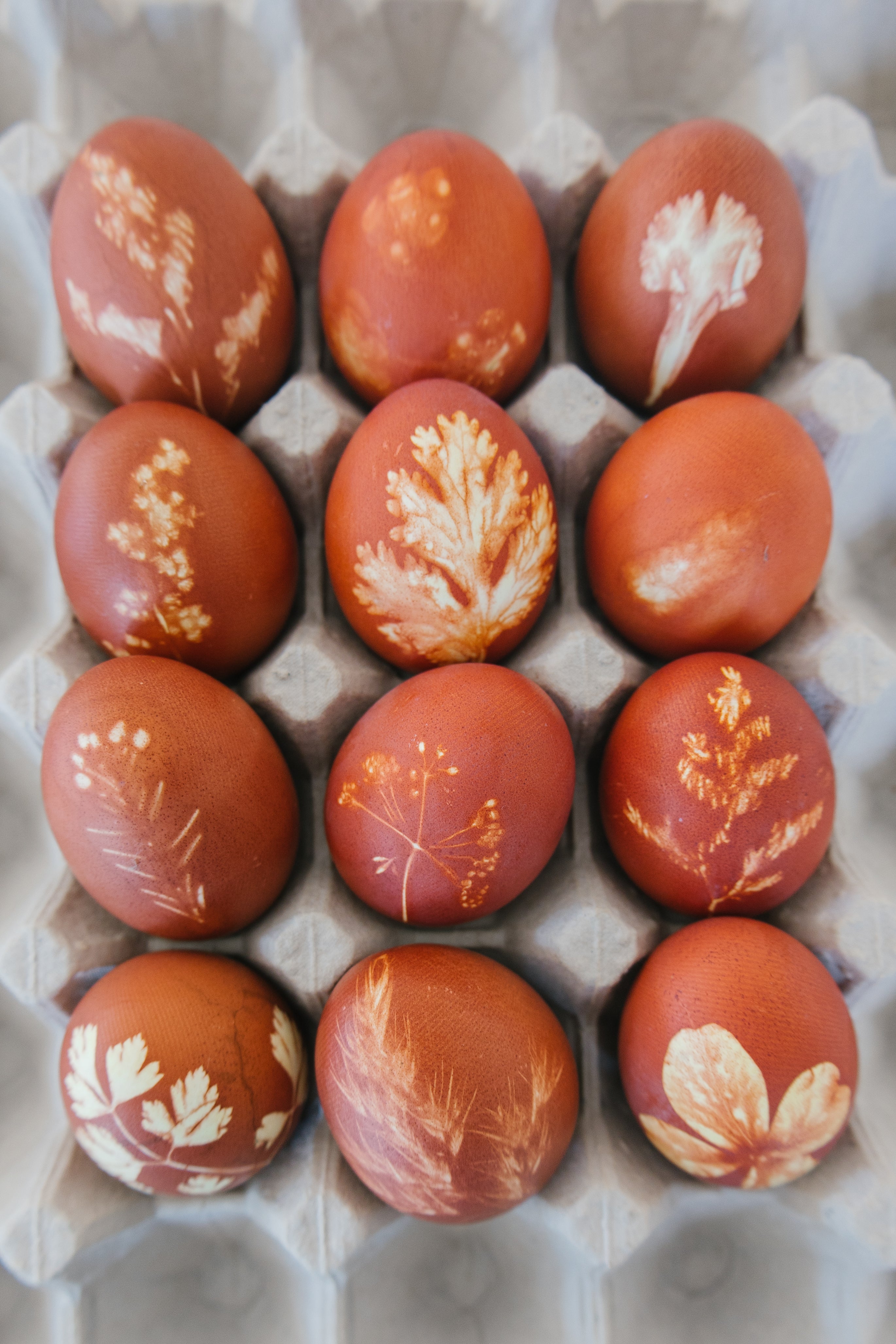 Onion dyed Easter eggs with herb and flower stencilled design
