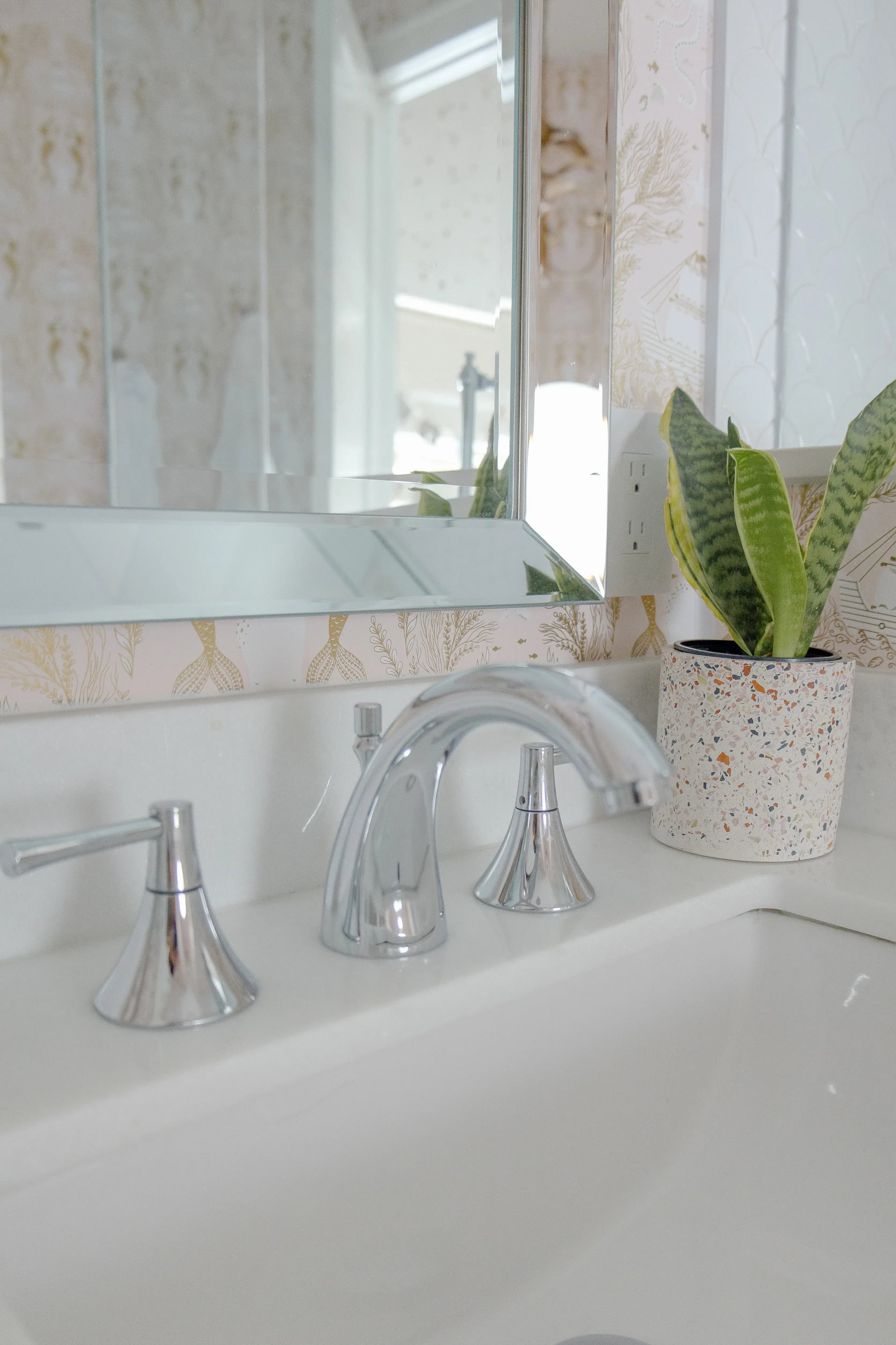silver faucet with snake plant next to it