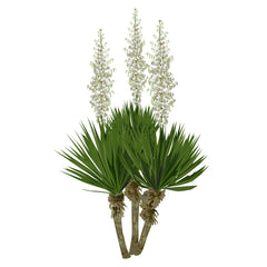 Yucca BIO