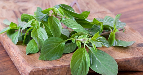 Chopped basil, perfect with pasta