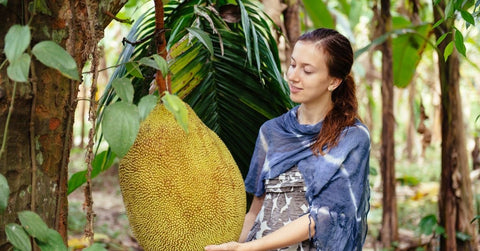 Woman admiring a large jack fruit growing on the tree