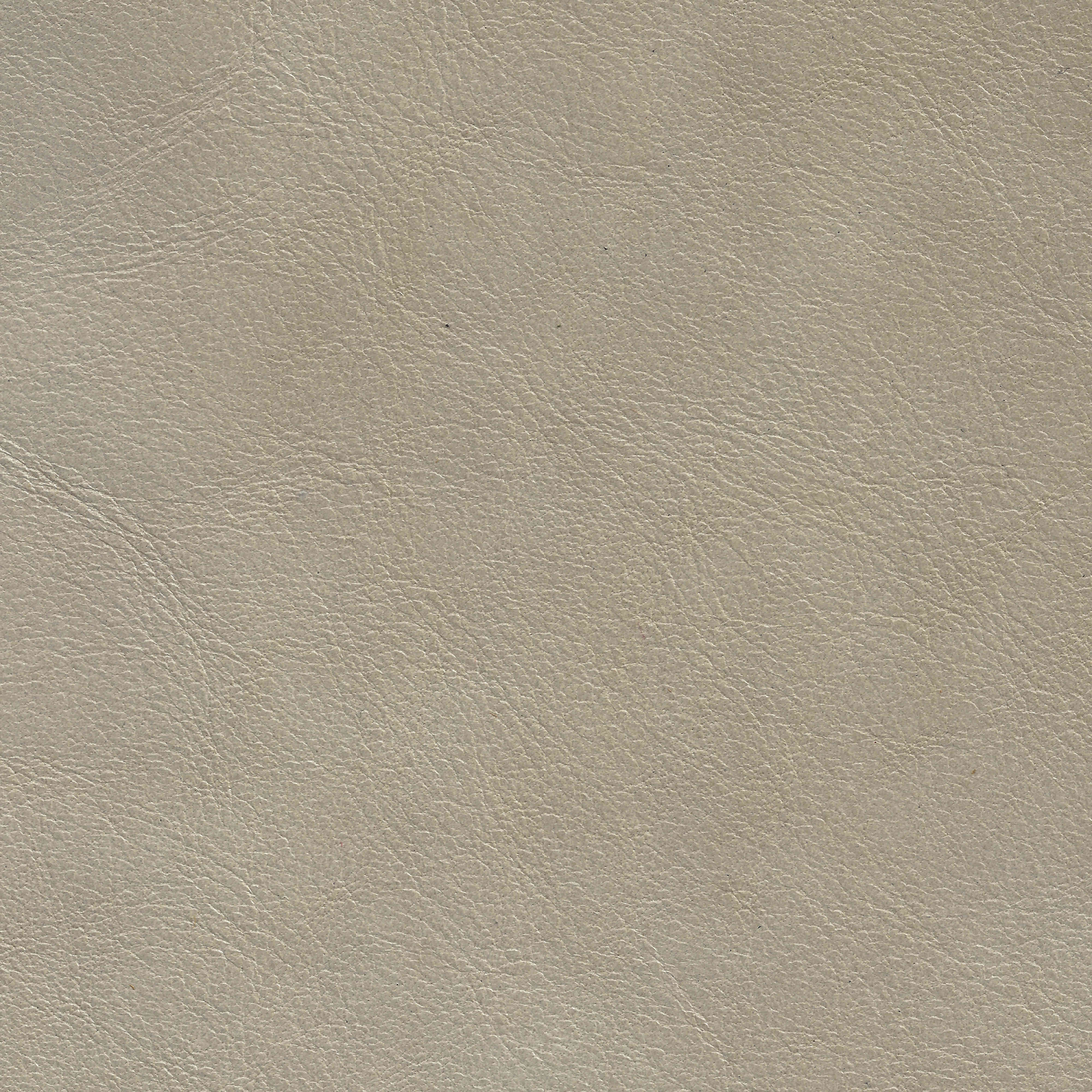 Nash / Protected Metallic Upholstery Leather / South American Hides –  Wipelli