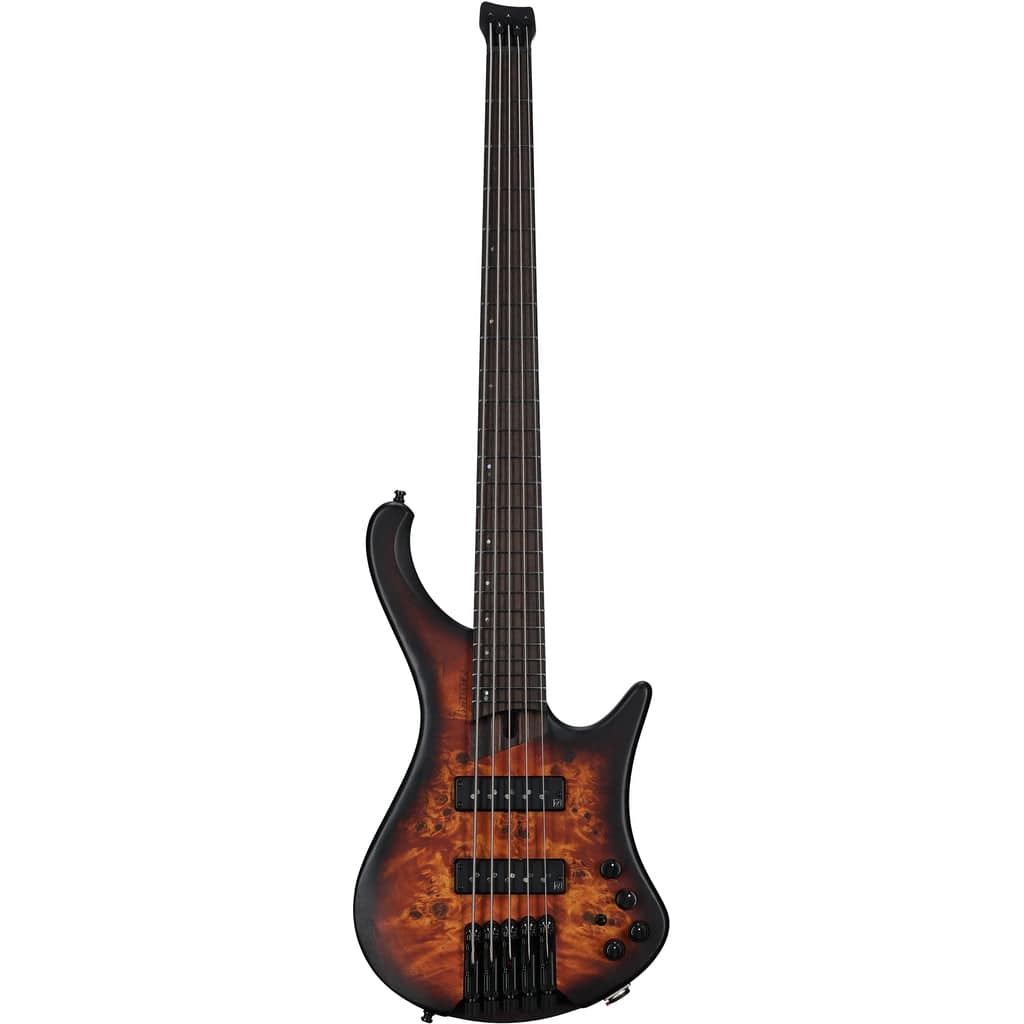 Ibanez Standard EHB1005F Fretless 5-string Bass Guitar - Arctic Ocean