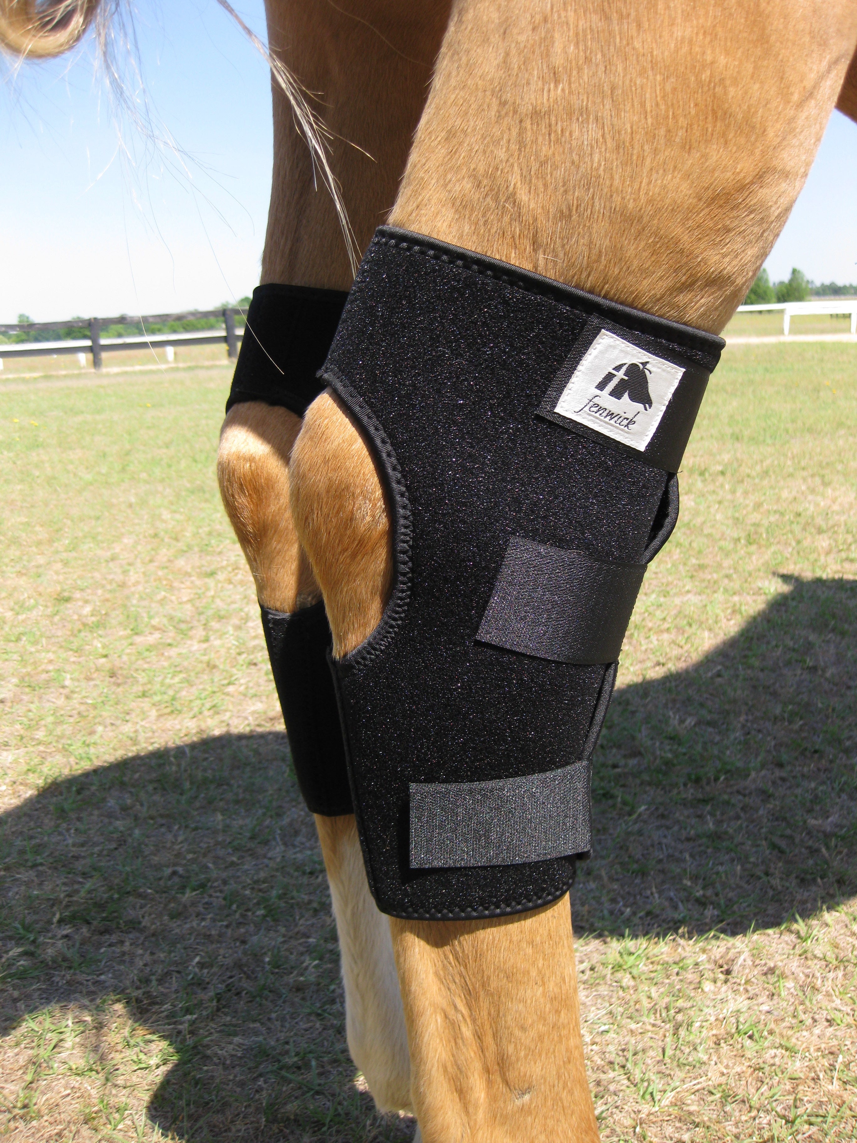 Fenwick LT (Liquid Titanium) therapeutic hock boots (pair) – Shadow Horse