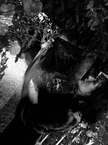 Lisa Lisoire in the night garden