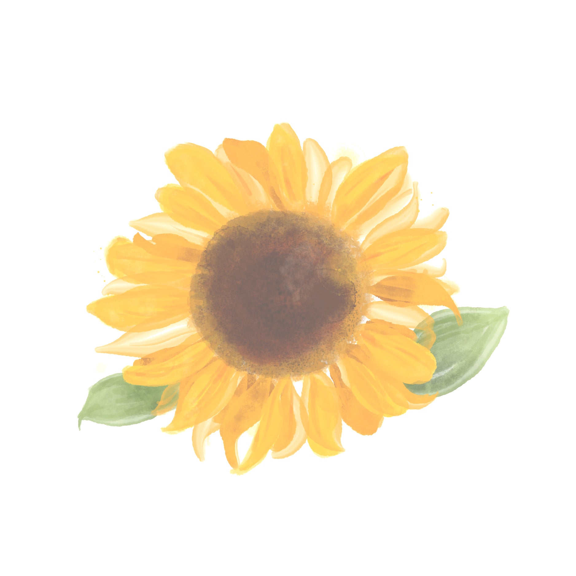 Sunflower.jpg__PID:edb834a3-b5c3-4cca-9b9d-59e5e036b45c