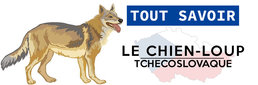 Blog Loup La Tanière Du Loup