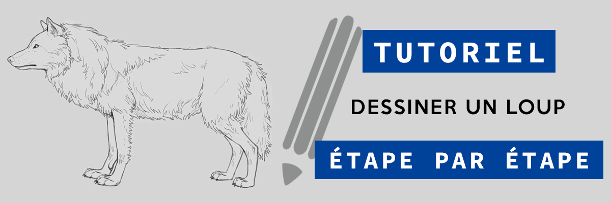 Comment Dessiner Un Chien Facile étape Par étape Tutoriel