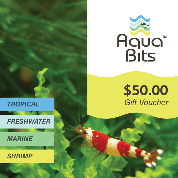 Gift Voucher Aquarium Supplies | AquaBits