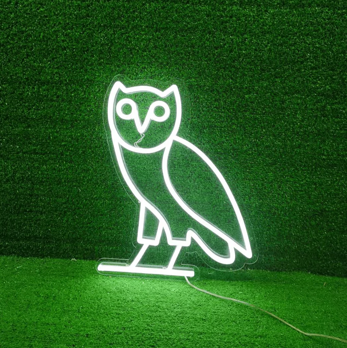 Drake ovo owl lamp