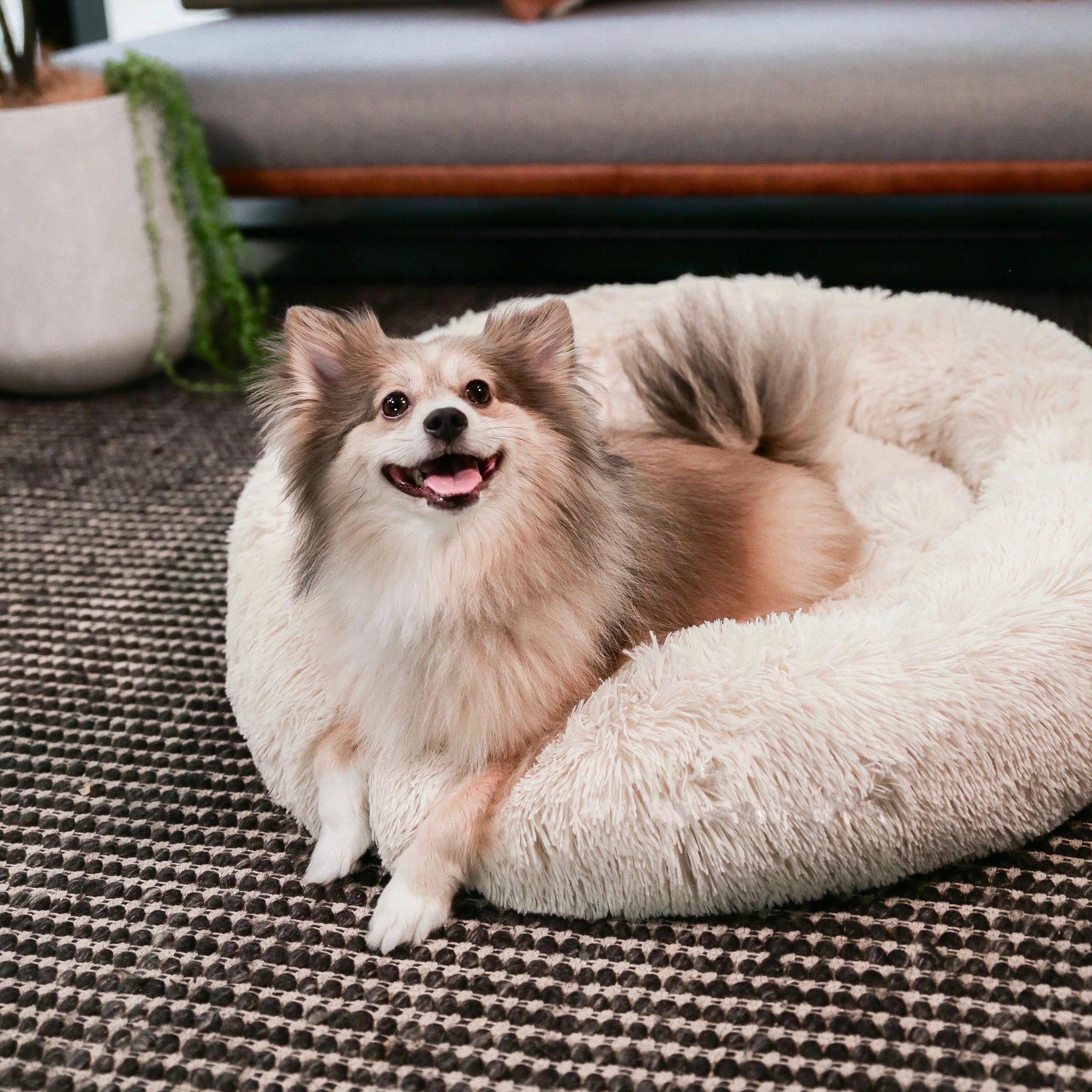 the dogs landing calming bed