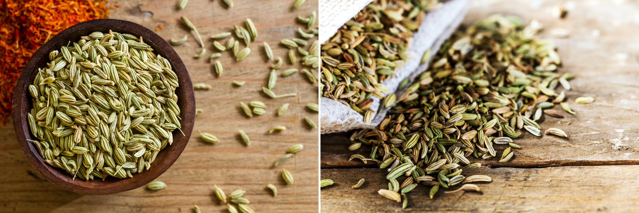 Organic Fennel Seeds