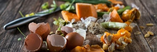 Food Waste During Thanksgiving