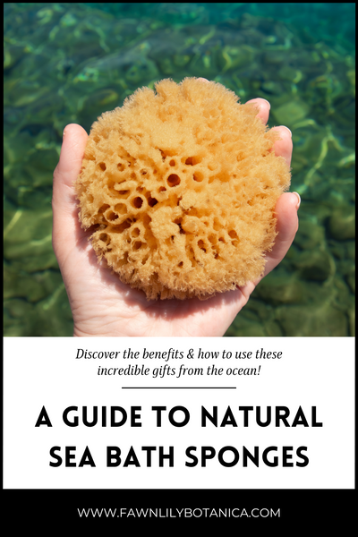 natural sustainable sea bath sponges benefits and how to use