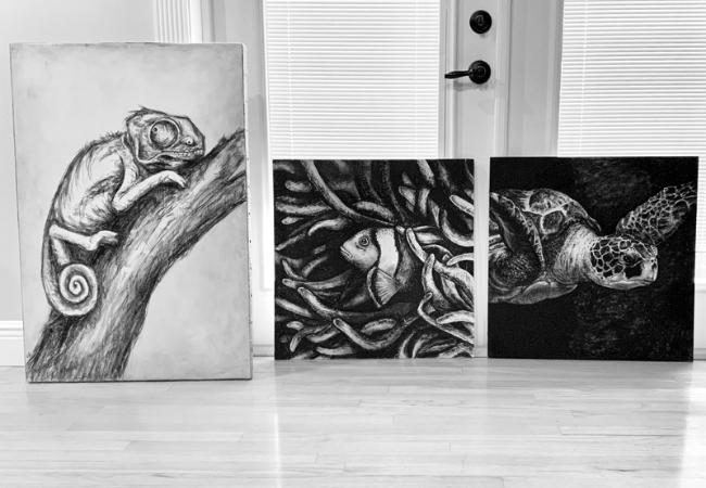 Three of my charcoal drawings lined up waiting to go and get digitized.