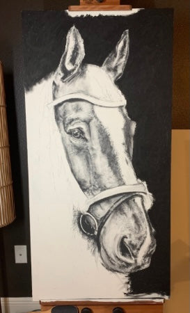 Horse charcoal drawing in progress - step 3