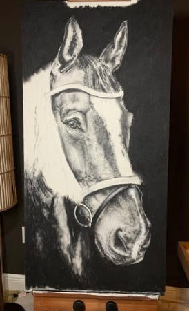 Horse charcoal drawing in progress - step 4