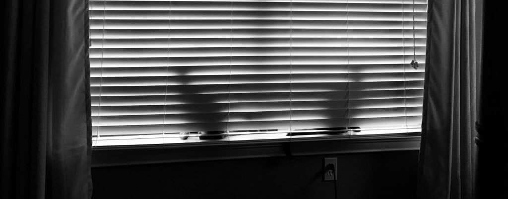 Black and white photo of 2 cats sitting in a window behind the blinds