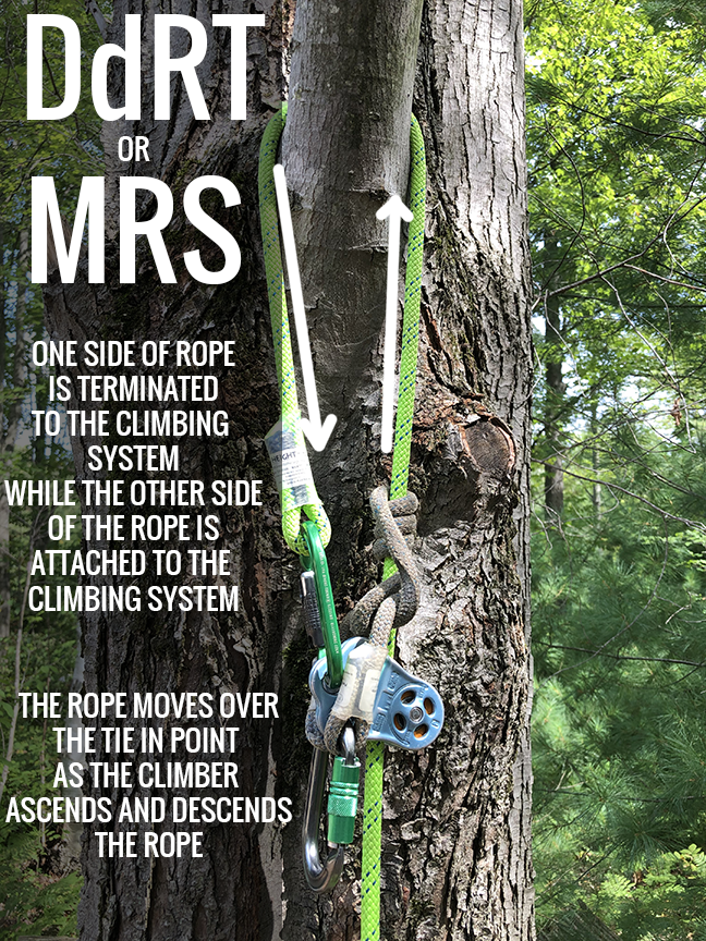 Understanding Acronyms in the Tree Climbing Industry Part 2 — Bartlett  Arborist Supply
