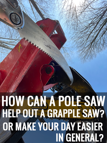 How Can a Pole Saw Make Your Day Easier? — Bartlett Arborist Supply