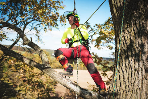 Does Positioning Matter? — Bartlett Arborist Supply