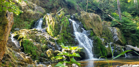 Lower Falls Mashel Falls