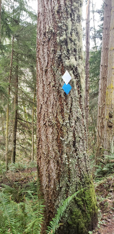 Trail Markers