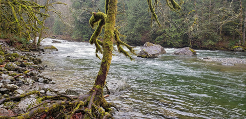 Snoqualmie River