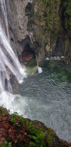 Twin Falls View