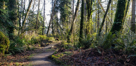 Woodard Bay Loop