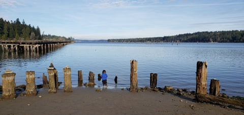 Woodard Bay