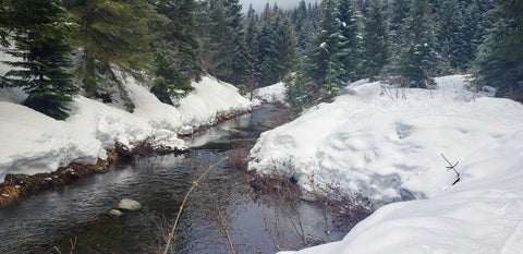 Gold Creek Pond