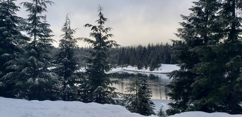 Gold Creek Pond