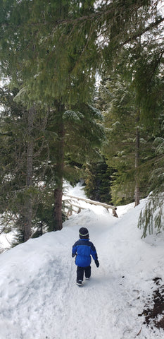 walking through snowy woods