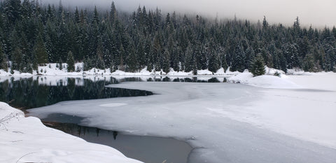 Gold Creek Pond