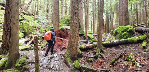 Man on mossy trail