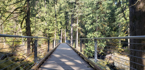 Suspension bridge