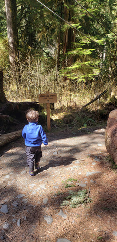 Toddler hiking