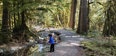 child throwing rock