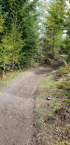 Early Mima Falls Trail 