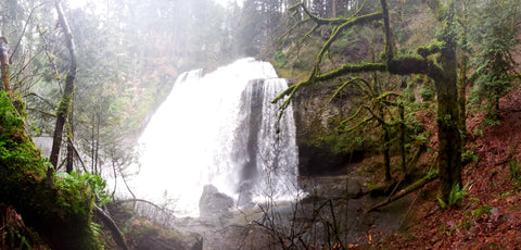 Middle Falls in January