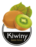 kiwiny-logo